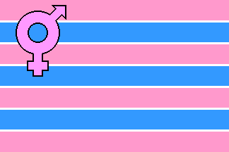 transsexual flag